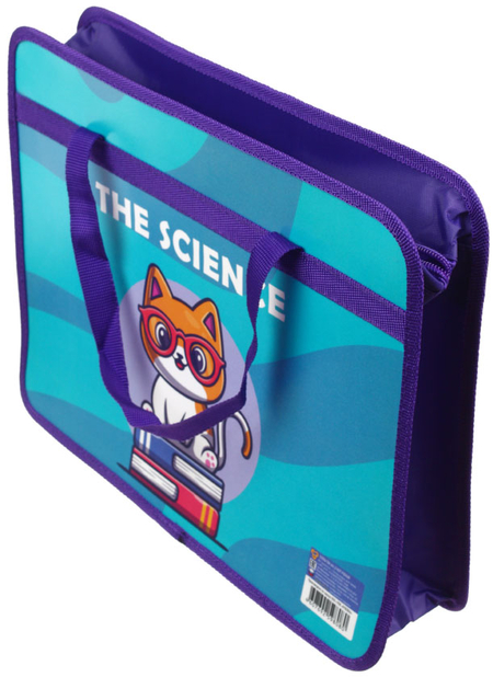 Папка для тетрадей «Пчелка», 330*260*90 мм, «Кот ученый»