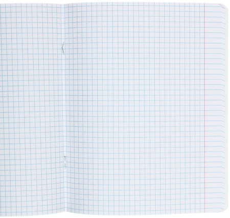Тетрадь общая А5, 48 л. на скобе «Синий кот», 165*203 мм, клетка, ассорти