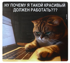 Коврик для мыши Sima-Land, 22×20 см, «Красивые тоже работают»