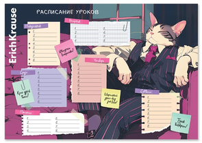Расписание уроков ErichKrause А4, 210×297 мм, Cat Boss