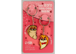 Набор парных брелоков «Тому, кого очень-очень люблю», 8×13,3 см Набор парных брелоков «Тому, кого очень-очень люблю», 8×13,3 см