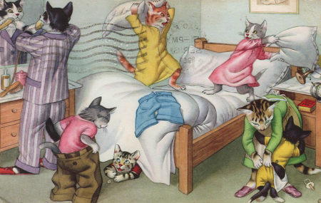 , «Битва подушками 2» (два котенка дерутся) , «Битва подушками 2» (два котенка дерутся)