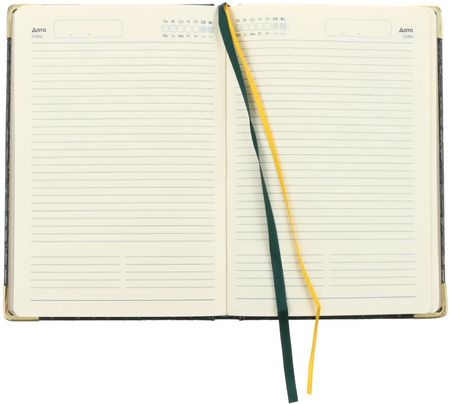 Ежедневник недатированный Business Premium (А5), 145*210 мм, 152 л., Iguana, изумрудный