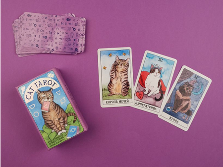 Карты таро Cat Tarot «Таро котиков», 78 карт и руководство