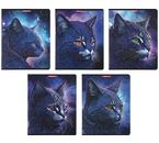 Тетрадь общая А5, 48 л. на скобе «Синий кот», 165×203 мм, клетка, ассорти Тетрадь общая А5, 48 л. на скобе «Синий кот», 165×203 мм, клетка, ассорти