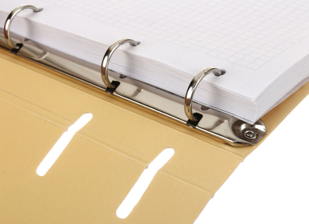 Тетрадь общая А5, 100 л. на кольцах Cute&Funny, 160*210 мм, клетка, «Котенька»