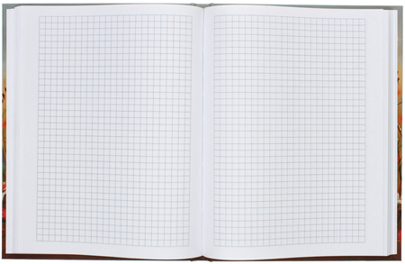 Книжка записная «Бизнес-блокнот» BG А5 (80 л.), 165*215 мм, 80 л., клетка, «Милый мечтатель» Книжка записная «Бизнес-блокнот» BG А5 (80 л.), 165*215 мм, 80 л., клетка, «Милый мечтатель»