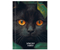 Книжка записная А6 «Взгляд черного кота», 106*150 мм, 96 л., клетка