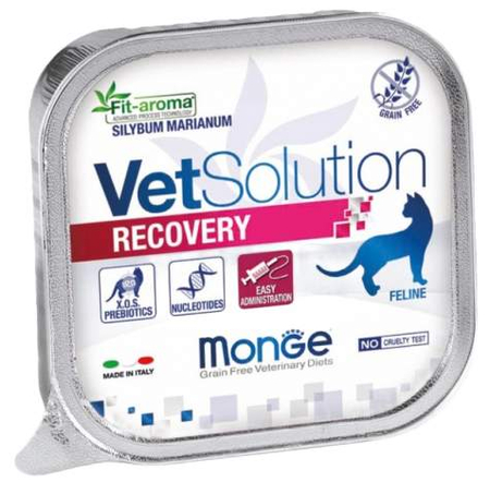 Корм влажный Monge VetSolution Cat Recovery (для кошек после травм и операций), 100 г