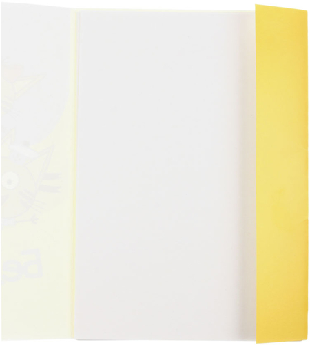 Картон белый двусторонний А4 «Полиграф Принт», 10 л., немелованный, «Три кота», дизайн обложки - ассорти