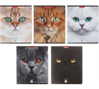Тетрадь общая А5, 96 л. на скобе ErichKrause Cats, 170×205 мм, клетка, ассорти
