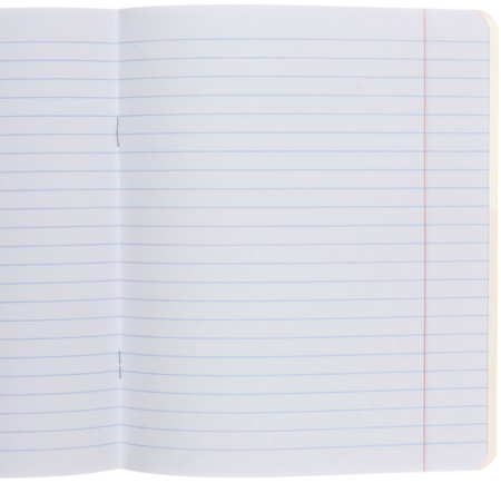 Тетрадь школьная А5, 12 л. на скобе Hatber «Кошечка Лили», 165*200 мм, линия, ассорти