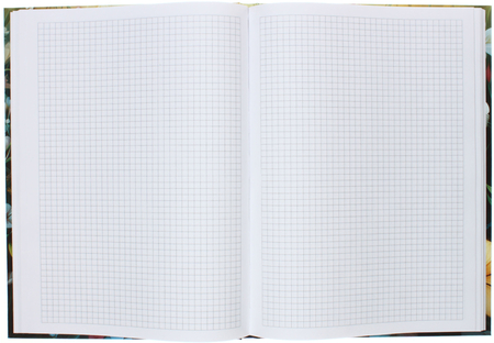 Книжка записная «Бизнес-блокнот» BG А4 (80 л.), 215*295 мм, 80 л., клетка, «На прогулке» Книжка записная «Бизнес-блокнот» BG А4 (80 л.), 215*295 мм, 80 л., клетка, «На прогулке»