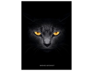 Книжка записная «Бизнес-блокнот. Кот с желтыми глазами» Книжка записная «Бизнес-блокнот. Кот с желтыми глазами»