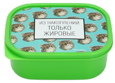 Ланч-бокс прямоугольный Sima Land, 0,5 л, «Накопления»