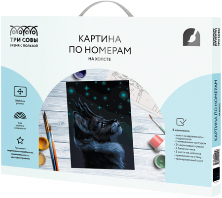Картина по номерам на холсте «Три совы», 30*40 см, «Мистический кот»