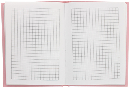 Книжка записная «Бизнес-блокнот» BG А6 (80 л.), 110*150 мм, 80 л., клетка, Meow Day Книжка записная «Бизнес-блокнот» BG А6 (80 л.), 110*150 мм, 80 л., клетка, Meow Day