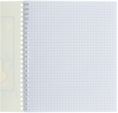 Тетрадь общая А5, 48 л. на гребне «Мечта кота», 165*200 мм, клетка, ассорти