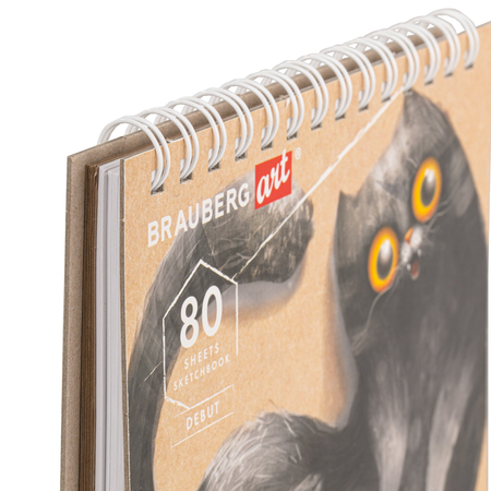 Скетчбук-блокнот на гребне Brauberg Art Debut (два вида бумаги), 195*195 мм, 80 л. (60 л. белых и 20 л. крафт-бумаги) Скетчбук-блокнот на гребне Brauberg Art Debut (два вида бумаги), 195*195 мм, 80 л. (60 л. белых и 20 л. крафт-бумаги)