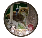 Монета в круглой коробке Our Friends, диаметр 3,9 см, Kurilian Bobtail