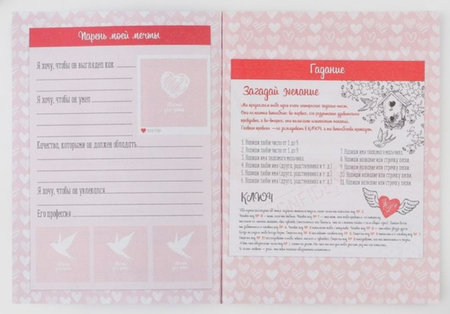 Книжка записная «Анкета для девочек» А6, 140*100 мм, 16 л., «Котик»