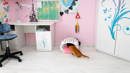 Конструктор-домик для кошки Ewa, 480*362*456 мм, 152 элемента, белый каркас — розовый мех