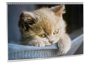 Фотоальбом «Котейка», 10×15 см, 36 фото