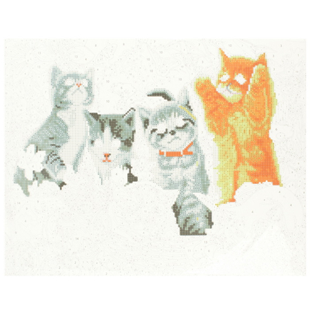 Набор для творчества «Алмазная мозаика» Darvish, 30*40 см, «Котята» + раскраска