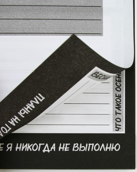 Еженедельник-антипланер недатированный «Кот», 145*200 мм, 66 л., линия Еженедельник-антипланер недатированный «Кот», 145*200 мм, 66 л., линия