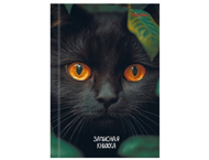 Книжка записная А6 «Взгляд черного кота»