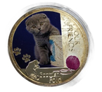 Монета в круглой коробке Our Friends, диаметр 3,9 см, Scottish Fold Монета в круглой коробке Our Friends, диаметр 3,9 см, Scottish Fold