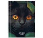 Книжка записная А6 «Взгляд черного кота», 106×150 мм, 96 л., клетка