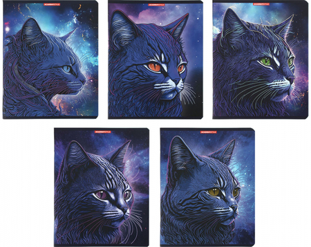 Тетрадь общая А5, 48 л. на скобе «Синий кот», 165*203 мм, клетка, ассорти