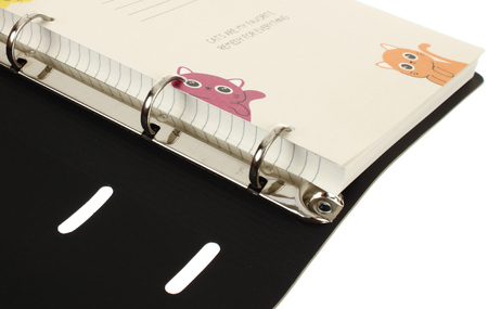 Тетрадь общая А5, 120 л. на кольцах BG, 160*215 мм, клетка, «Котики» Тетрадь общая А5, 120 л. на кольцах BG, 160*215 мм, клетка, «Котики»