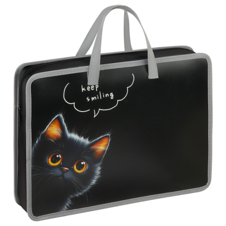 Папка для тетрадей с ручками ArtSpace (70), 330*245*70 мм, The Black Kitten
