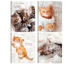 Тетрадь общая А5, 96 л. на гребне Brauberg «Котики», 165×205 мм, клетка, ассорти