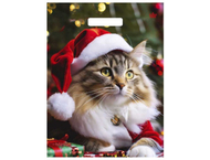 Пакет упаковочный «Тико-пластик» (30×40 см) Пакет упаковочный «Тико-пластик» (30×40 см)