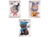 Блокнот на склейке Hatber «Кототерапия» (А6)