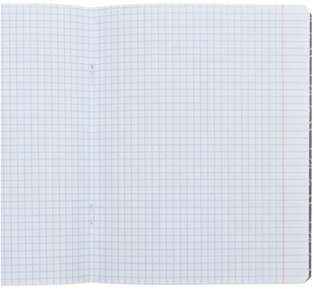 Тетрадь общая А5, 48 л. на скобе «Голографические кошки», 163*203 мм, клетка, ассорти