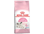 Корм сухой Royal Canin Babycat (для котят в возрасте от 1-го до 4-х месяцев, беременных и лактирующих кошек) Корм сухой Royal Canin Babycat (для котят в возрасте от 1-го до 4-х месяцев, беременных и лактирующих кошек)