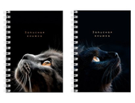 Книжка записная на гребне «Взгляды котиков»