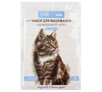 Набор для вышивания крестиком «Домашний кот», 21×30 см