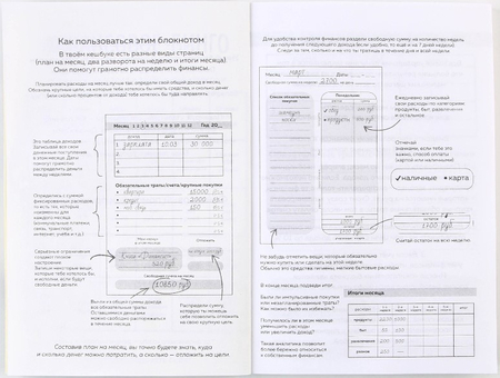 Блокнот для планирования финансов Cashbook, 100*140 мм, 68 л., «Кот»