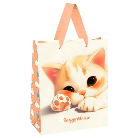 Пакет подарочный Meshu, 18*23*10 см, Lovely Kitten Пакет подарочный Meshu, 18*23*10 см, Lovely Kitten