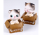 Сувенир Darvish «Котик в коробке», 6,5*9 см, ассорти