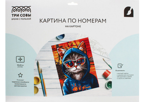 Картина по номерам на картоне «Три совы», 30×40 см, «Кот в худи» Картина по номерам на картоне «Три совы», 30×40 см, «Кот в худи»