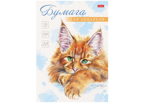 Папка для акварели Hatber, А4 (210×297 мм), 10 л., «Рыжий котик» Папка для акварели Hatber, А4 (210×297 мм), 10 л., «Рыжий котик»