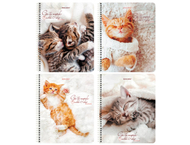 Тетрадь общая А5, 96 л. на гребне Brauberg «Котики»