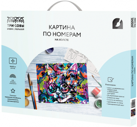 Картина по номерам на холсте «Три совы», 40*50 см, «Абстрактный кот»