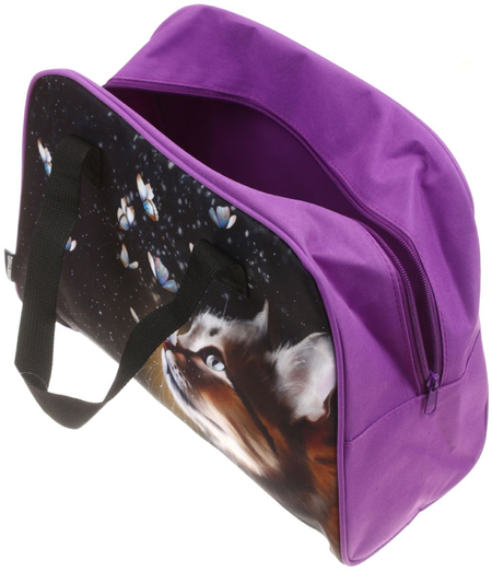Сумка для внешкольных занятий Brauberg Active, 350*250*150 см, Dream Cat